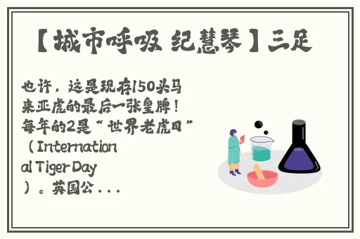 榴莲视频粉色视频app下载